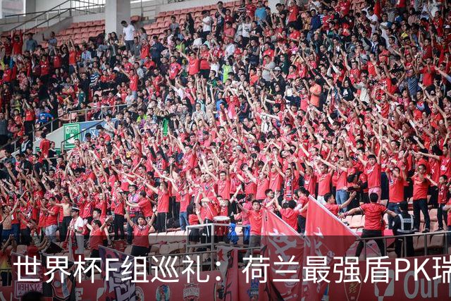 世界杯F组巡礼：荷兰最强盾PK瑞典犀利刀 日本短板明显